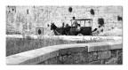 In carrozza In carrozza