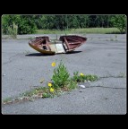 Chornobyl - La rivincita della natura