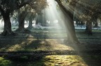 luce soffusa luce soffusa