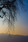 Silouette Silouette