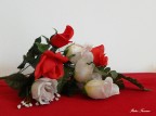 Floreale Floreale