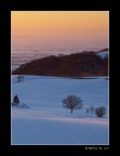 La luce della sera La luce della sera