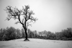 Paesaggio Innevato Paesaggio Innevato