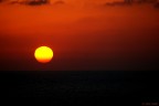 Sun Sun