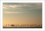 All'alba.. in ordine sparso All'alba.. in ordine sparso