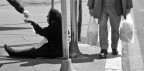 non siamo tutti uguali non siamo tutti uguali