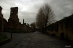 Roma Roma