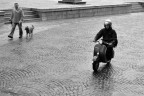 Vespa Vespa