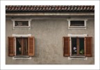 Un uomo e i fiori Un uomo e i fiori