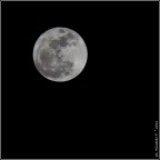 Canon 30d + Canon 55-250 IS

In occasione del Perigeo Lunare, ribattezzato SUPERLUNA, ho fatto questo scatto a mano libera con il 55-250 IS che continua a stupirmi sempre per efficienza e consistenza.

Come al solito commenti e critiche ben accetti