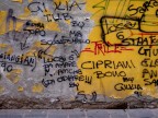 pareri... pareri...