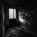 Rovine Rovine