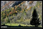 Autunno e ombra Autunno e ombra