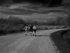 di corsa o camminando? di corsa o camminando?