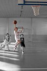 Lory Basket Lory Basket