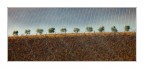 Dieci piccoli alberi Dieci piccoli alberi