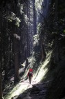 trekking trekking