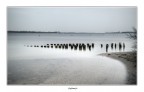 Zeeland Zeeland