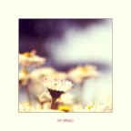 My Spring