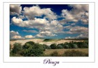Tra le colline di Pienza.... Tra le colline di Pienza....
