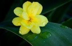 Sospiri di primavera Sospiri di primavera