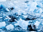 frozen frozen