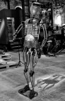 IO ROBOT IO ROBOT