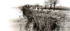 Canale bassa Reggiana Canale bassa Reggiana