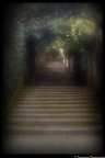 A passage for nowhere A passage for nowhere