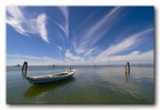 Amare il Mare Amare il Mare