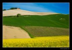 Tavolozza Primaverile Tavolozza Primaverile