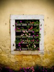 Persiana in fiore Persiana in fiore