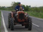 la vedetta la vedetta