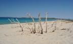 le dune porto pino sardegna 2010 le dune porto pino sardegna 2010