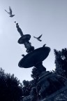 I believe I can fly I believe I can fly