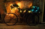 Volterra Bicycle Volterra Bicycle