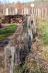 Stockade on the way Stockade on the way