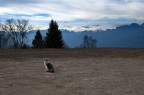 Sguardo verso... Sguardo verso...