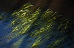 Acqua e luce Acqua e luce
