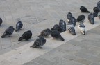 Mattina Mattina