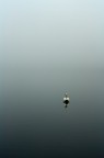 Nella nebbia Nella nebbia