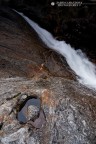 quite water quite water