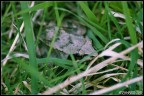 Natura 02 Natura 02