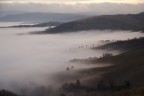 nebbia nebbia