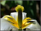 I colori della primavera I colori della primavera