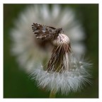 la prima di quest'anno....