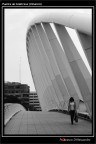 Puente de Calatrava (Valencia) Puente de Calatrava (Valencia)