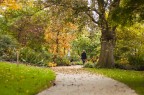 Autunno nel parco Autunno nel parco