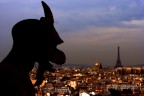 Notre Dame, Paris. Notre Dame, Paris.