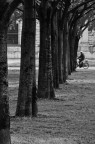 Traguardo Traguardo